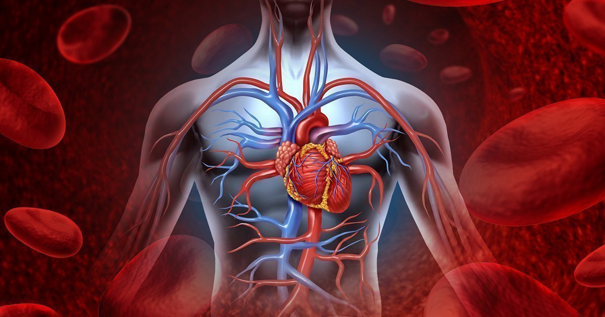 Infarctus du myocarde et arrêt cardiaque : comprendre les signaux d'alarme.